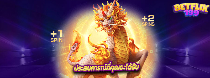 ประสบการณ์ที่คุณจะได้รับ